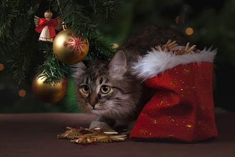 Natal e festas 2019: o que esperar de demandas para as gráficas?